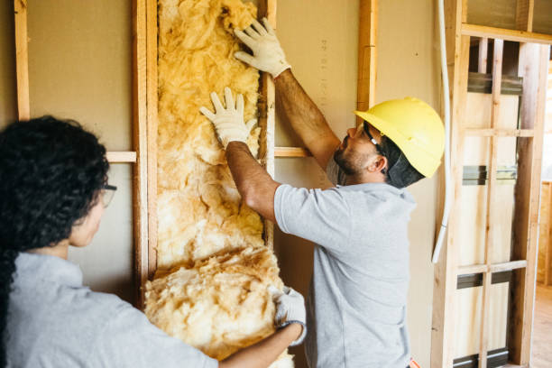 Best Insulation for New Construction  in Bethalto, IL